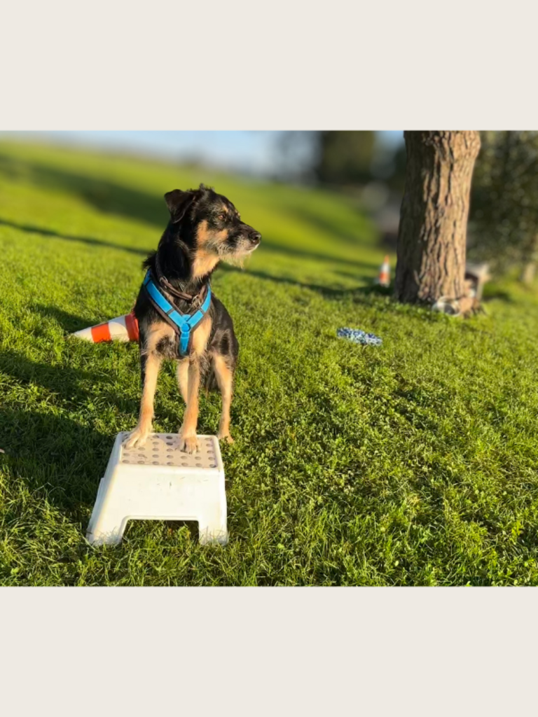 Zwischen Liebe und Last